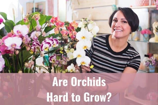 Lady smiling next to a variety of orchid plants
