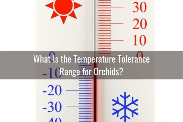 Thermometer showing temperature range