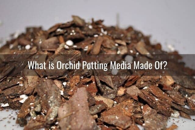 A pile of orchid potting media