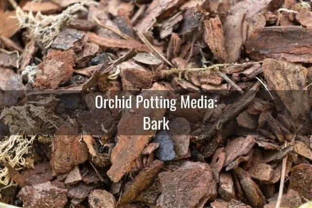 Bark in potting media