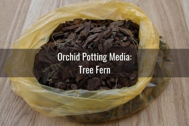 Bag of potting media and tree fern