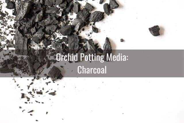 Charcoal pieces against a white background