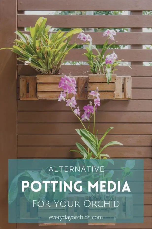 Orchids in wooden baskets along wall