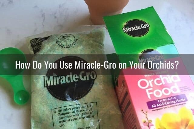 Picture of Miracle Gro orchid fertilizer in bag