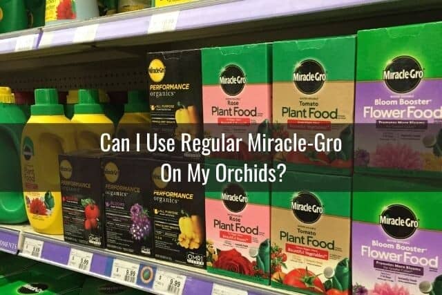 Rows of Miracle Gro Fertilizer
