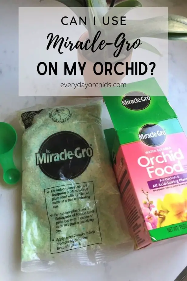 Miracle-gro orchid fertilizer with small potted orchid plant