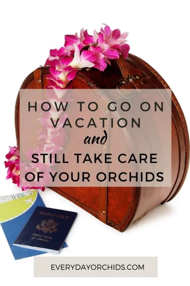 Suitcase for person going on vacation, orchids