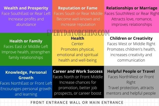 Bagua feng shui map for orchids