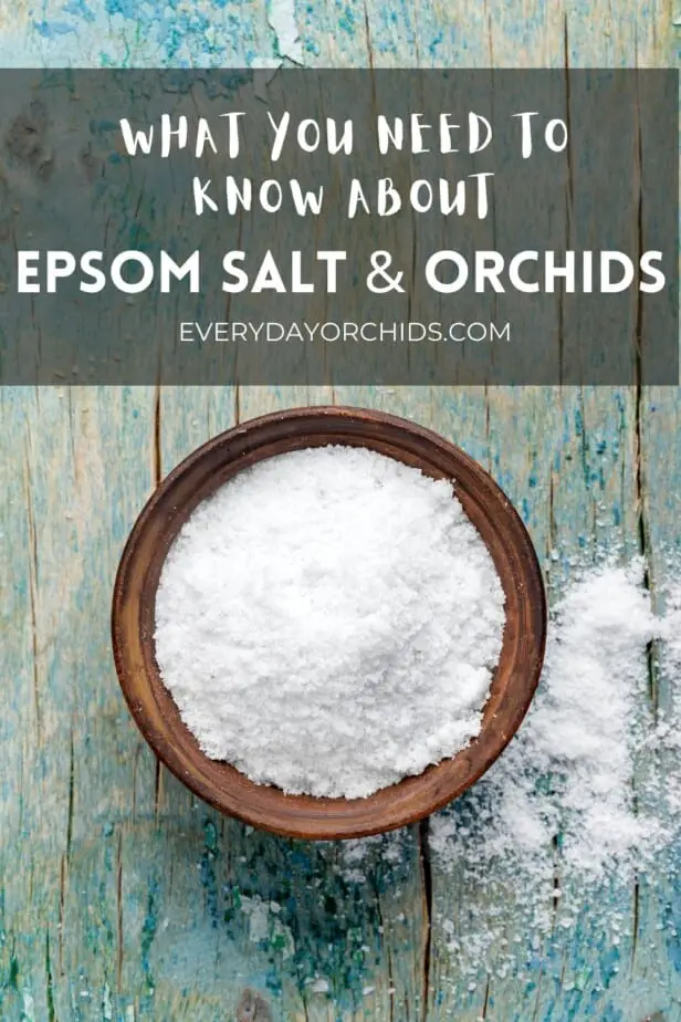 Bowl of epsom salt on a blue wooden table