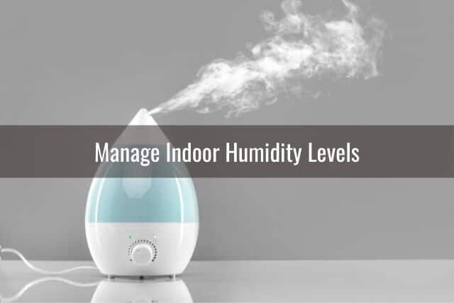 Humidifier producing mist