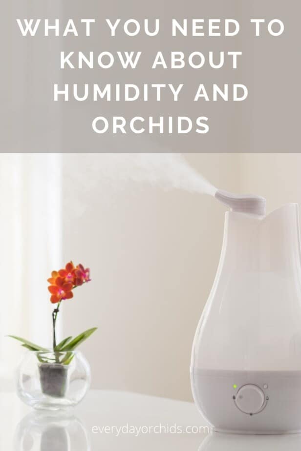 Humidifier next to an orchid