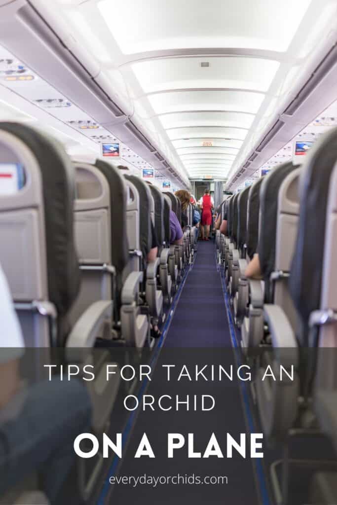 Looking down the aisle of an airplane