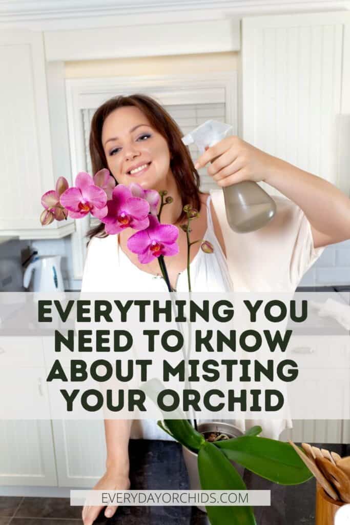 Lady misting an orchid