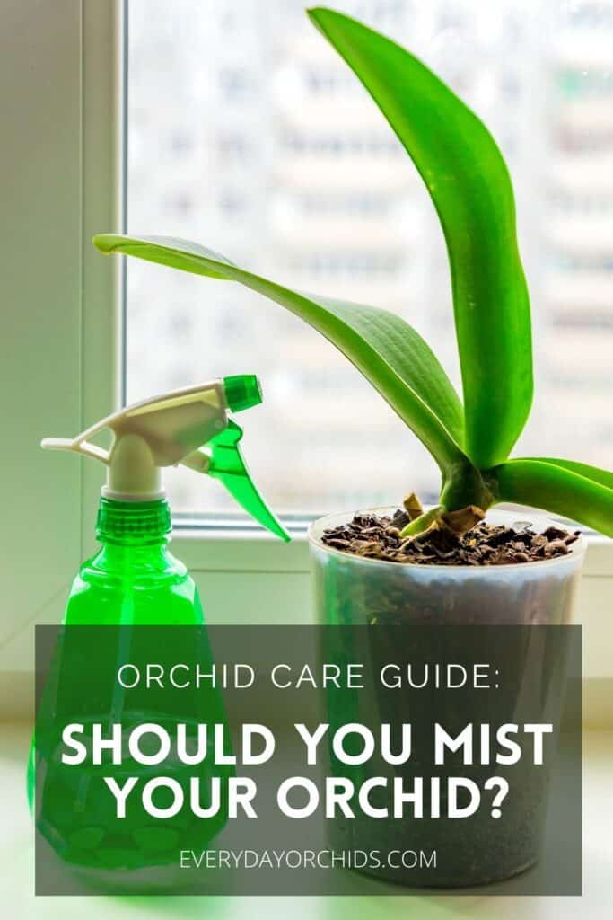 Orchid next to a misting bottle