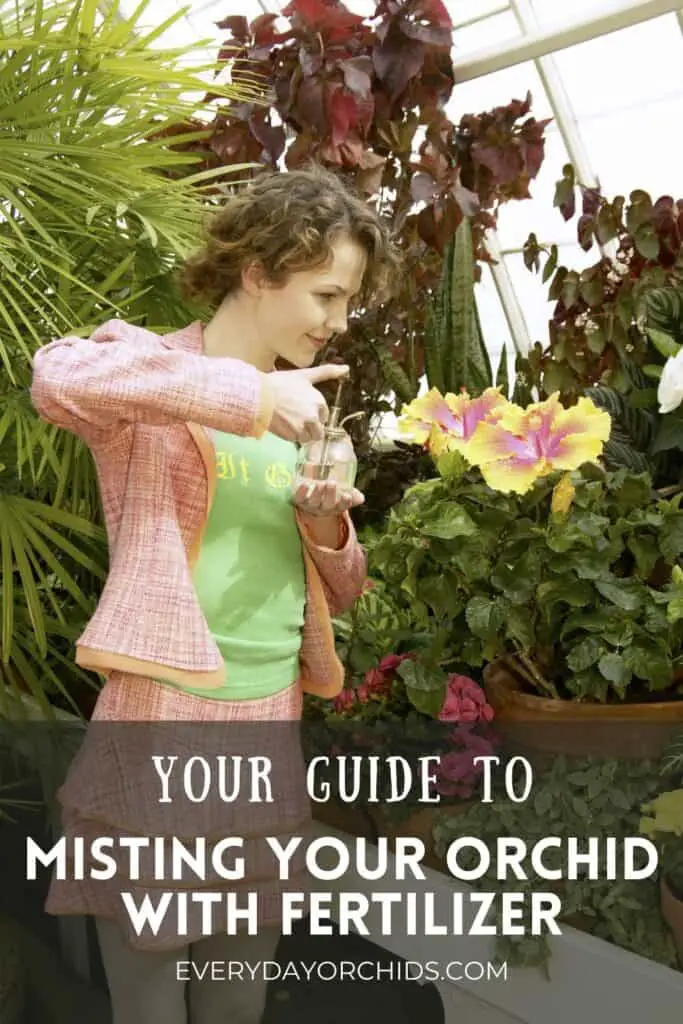 How To Feed Your Orchid Using A Fertilizer Mist Spray - Everyday Orchids