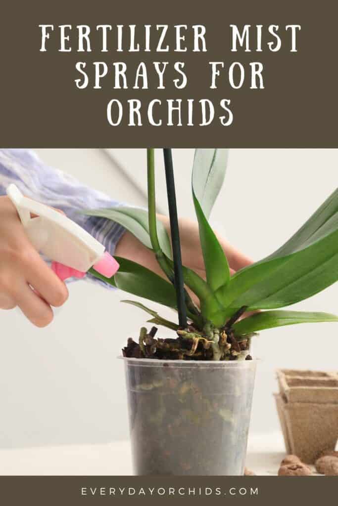 Person using orchid fertilizer mist spray on an orchid