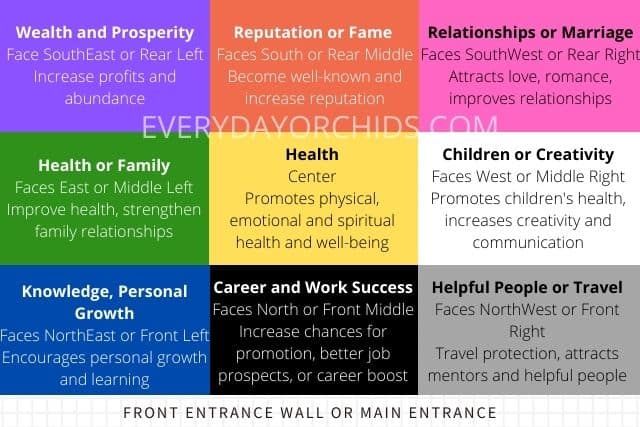 Bagua map for Everyday Orchids