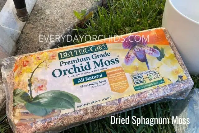 Sphagnum moss for orchids