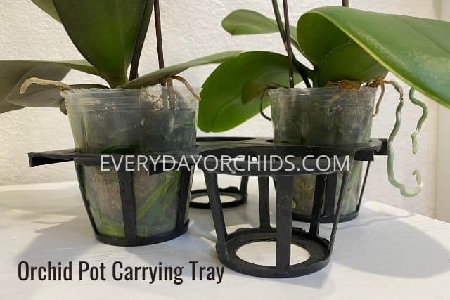 Orchid pot carrying tray