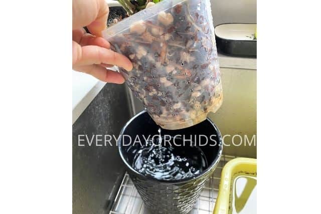 Drain excess water from orchid pot