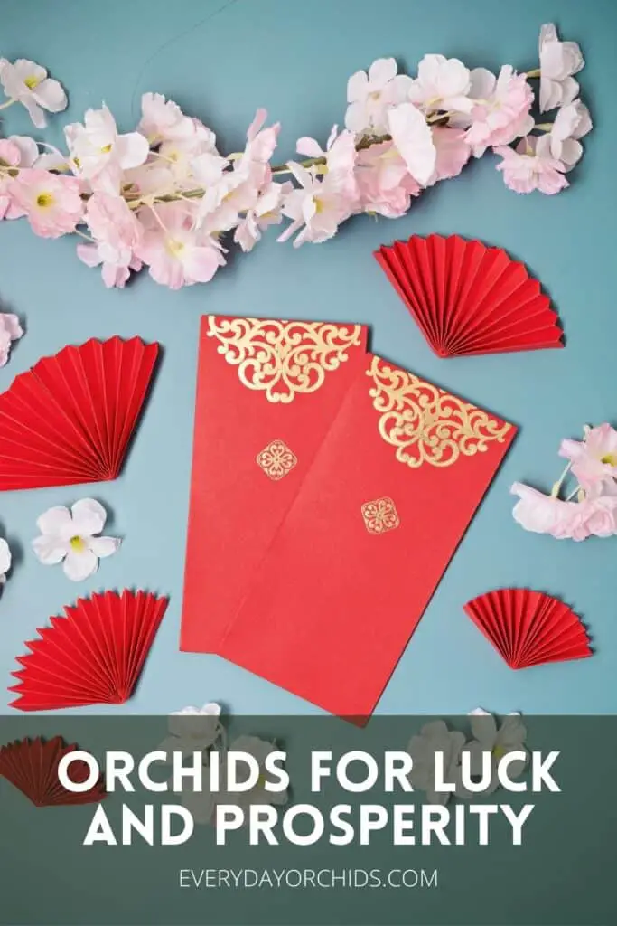 Orchid flowers with red enveloped