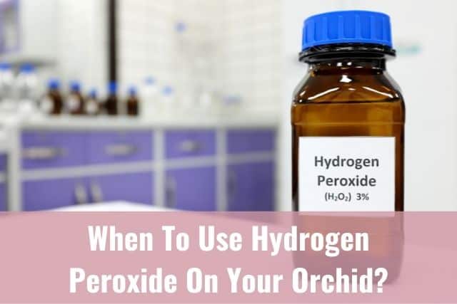 Bottle of Hydrogen peroxide for orchid use