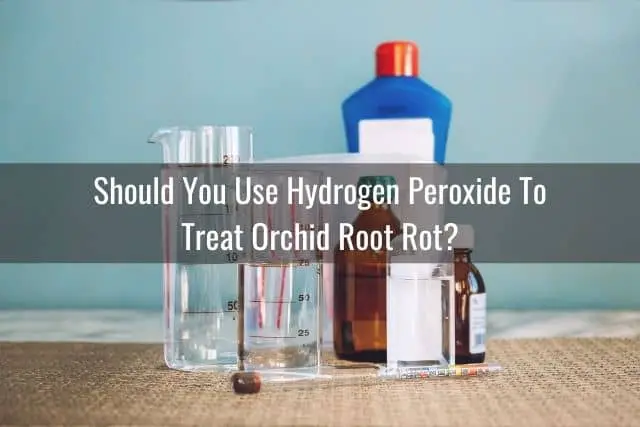 Hydrogen peroxide with bottles and beakers