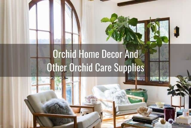 Light-filled room with orchids and other home decor