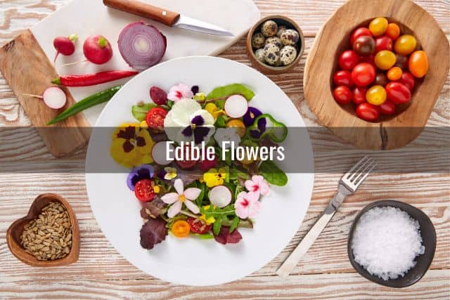 Salad with edible flowers on a white plate 