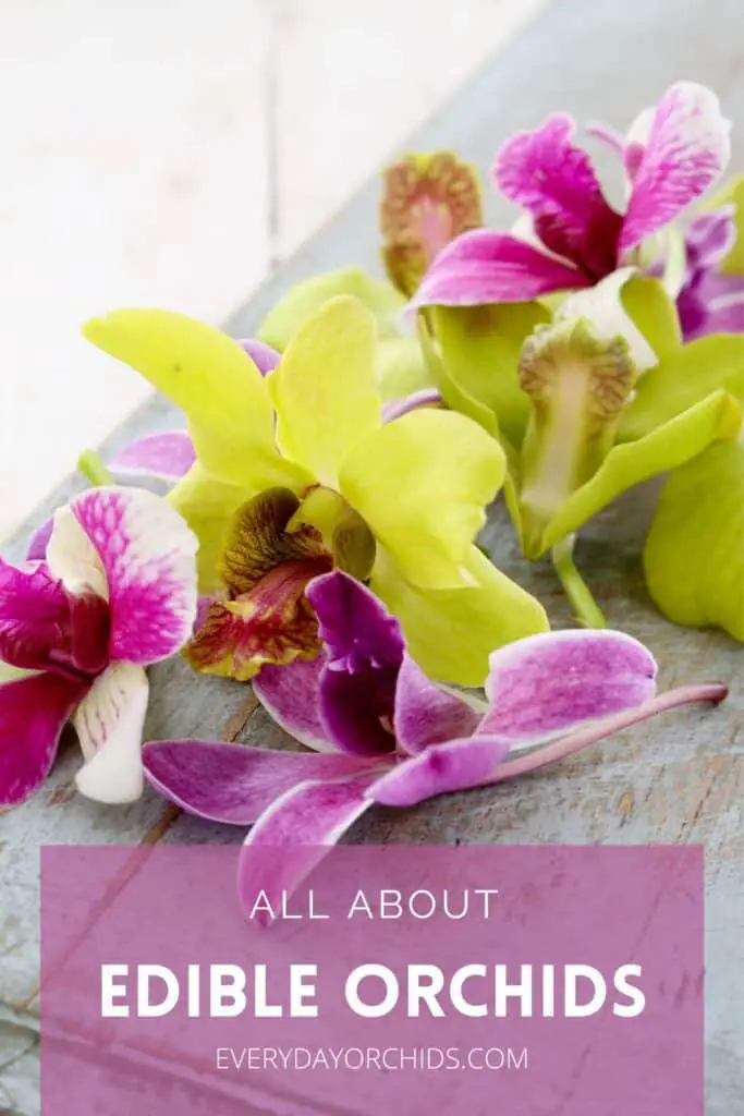 Colorful yellow and pink edible orchid flowers on a wooden table