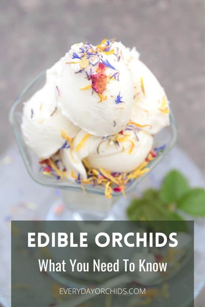 Turkish ice cream made from edible orchids, topped with edible flowers