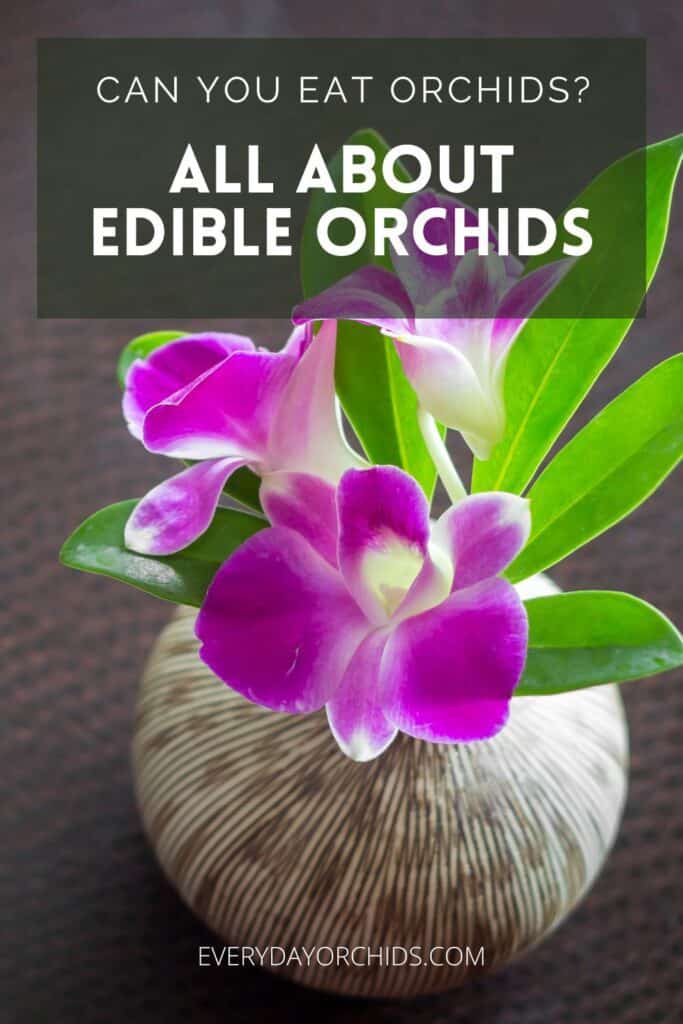 Purple edible orchid flowers in a vase