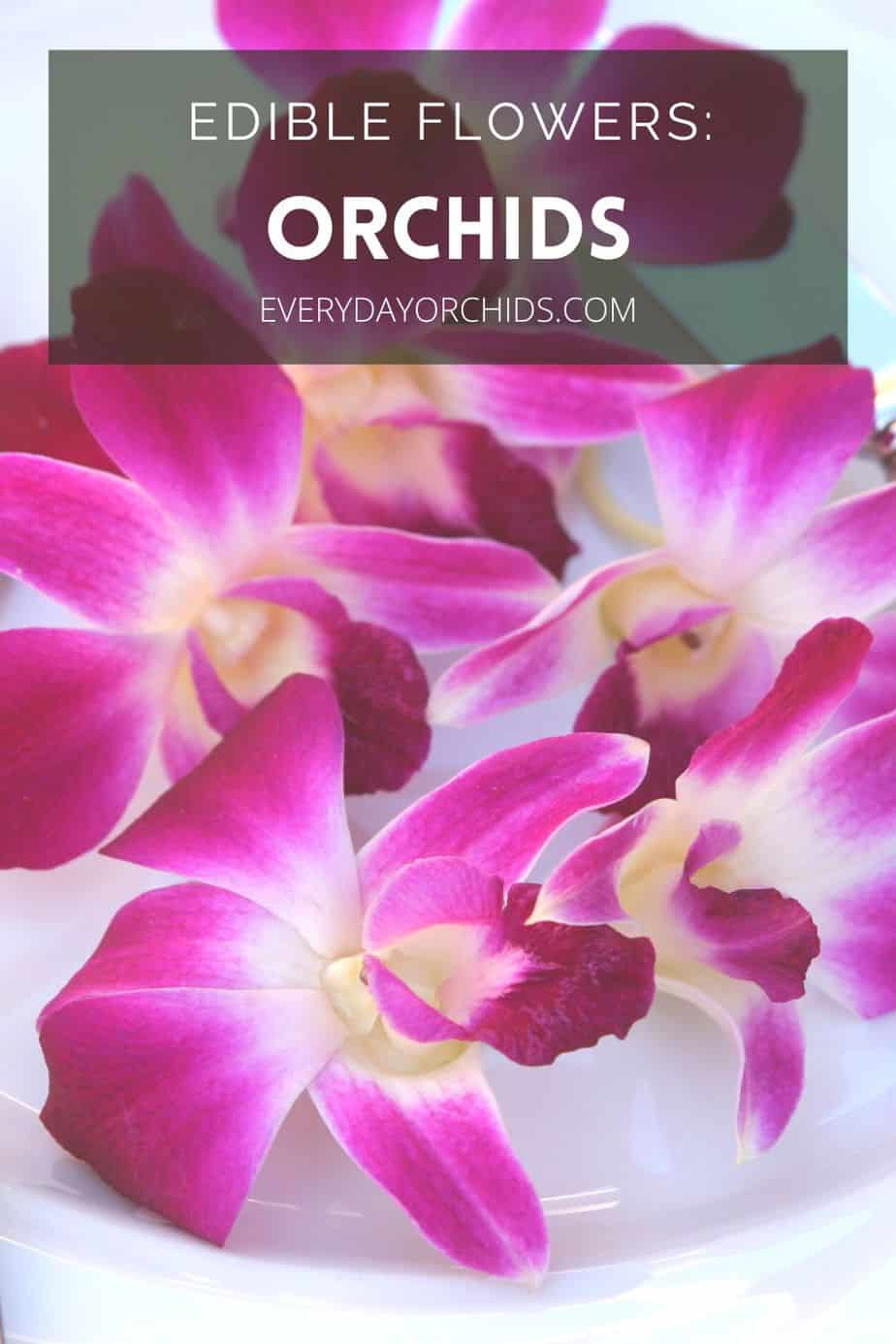 Are Orchids Edible? Fun Facts And How To Use Them Everyday Orchids