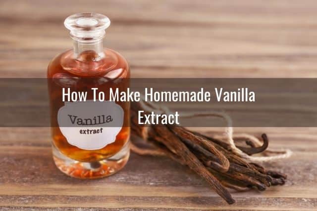 Vanilla bean seeds next to a jar of vanilla extract on a wooden table