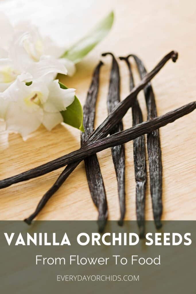 Vanilla bean seeds laid out on wooden table with orchid flowers