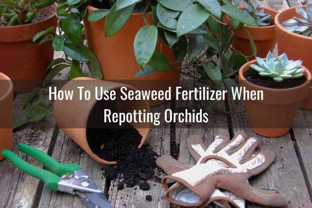 Potting tools, gloves and tipped over pot with soil on outdoor deck