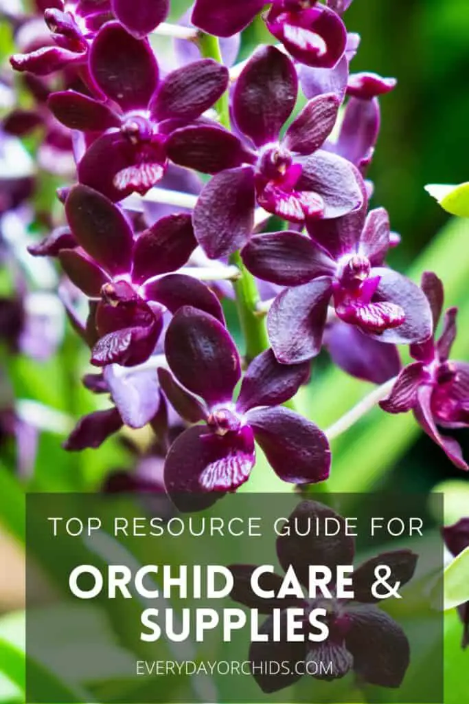 Orchid Care Guides And Orchid Supplies: Everything You Need To Get ...