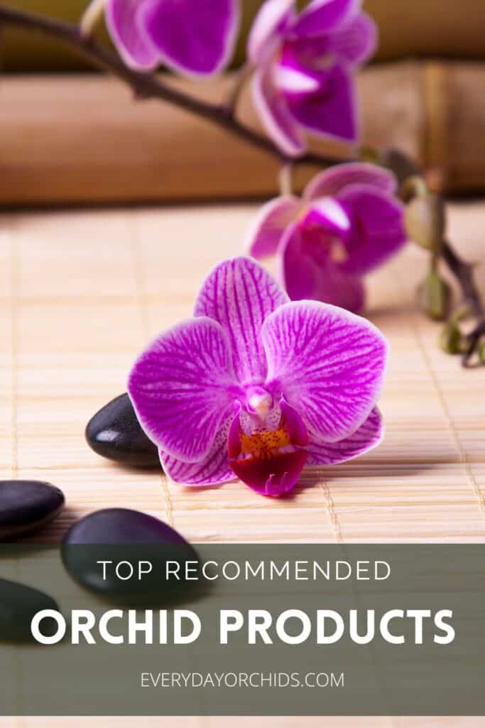 Pink orchid flowers on a bamboo mat with black rocks