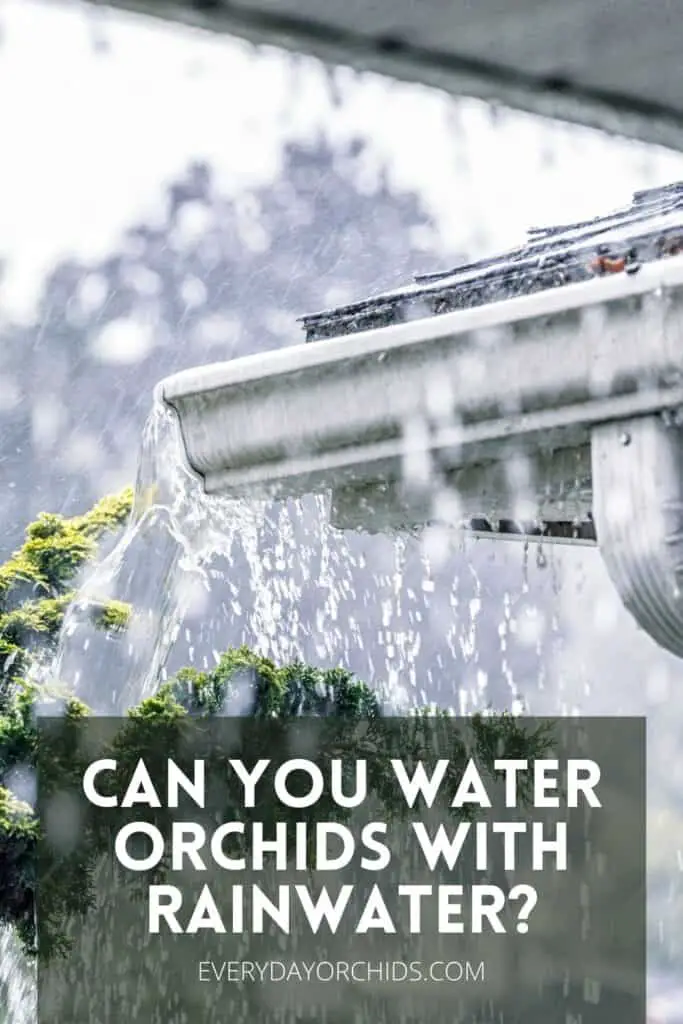 Water overflowing from rain gutter during a storm