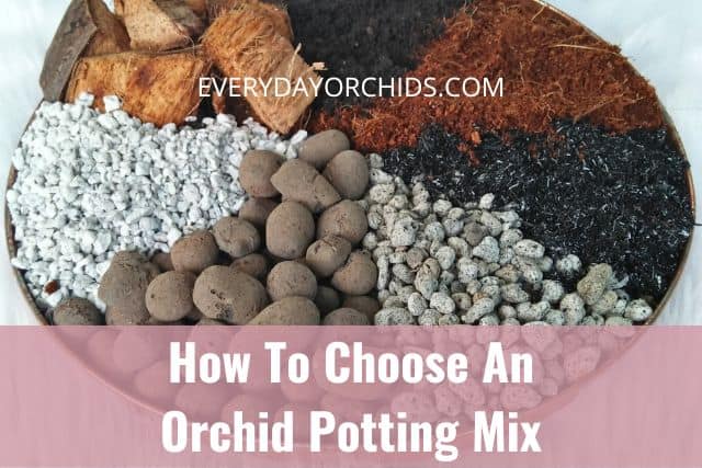 Plate of different types of orchid potting mixes