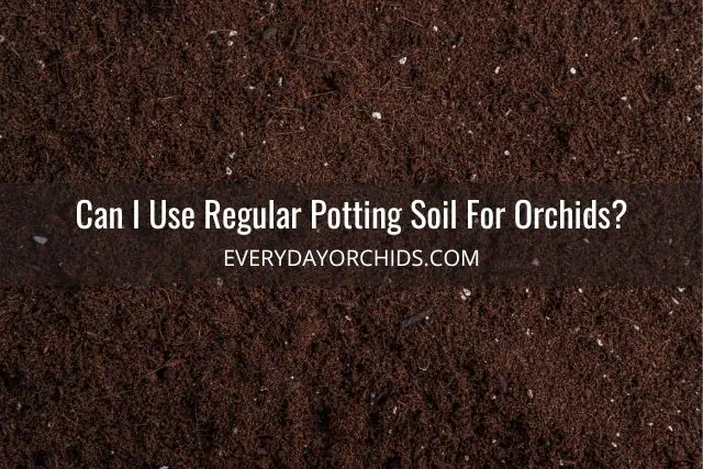 Potting soil