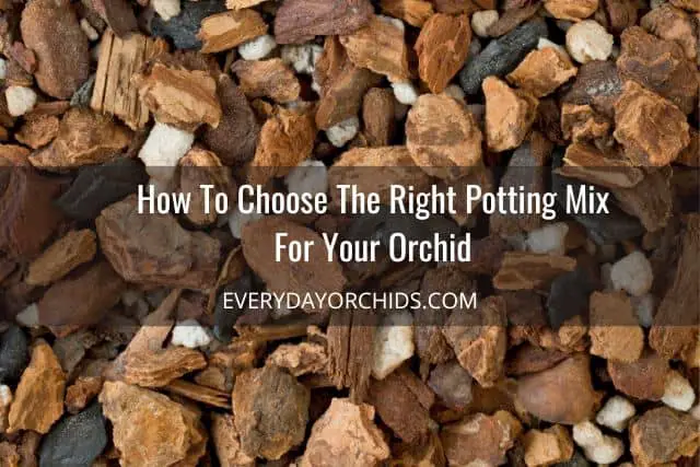 Orchid potting mix with orchid bark, perlite, charcoal