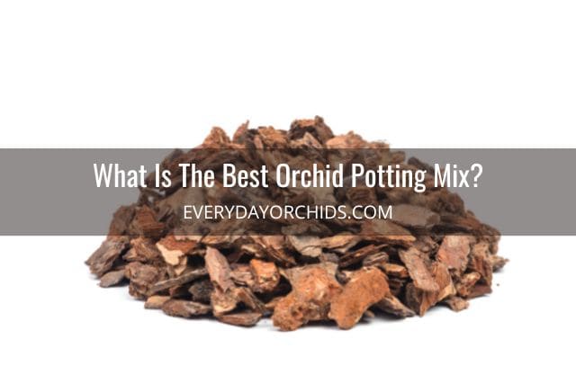 Small pile of orchid bark mix for repotting orchids