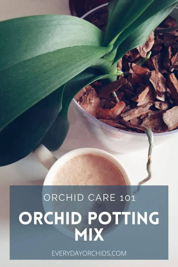 Potted orchid plant on table next to cup of coffee