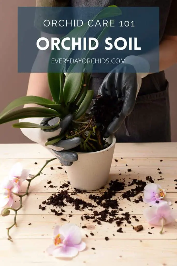 Person repotting an orchid