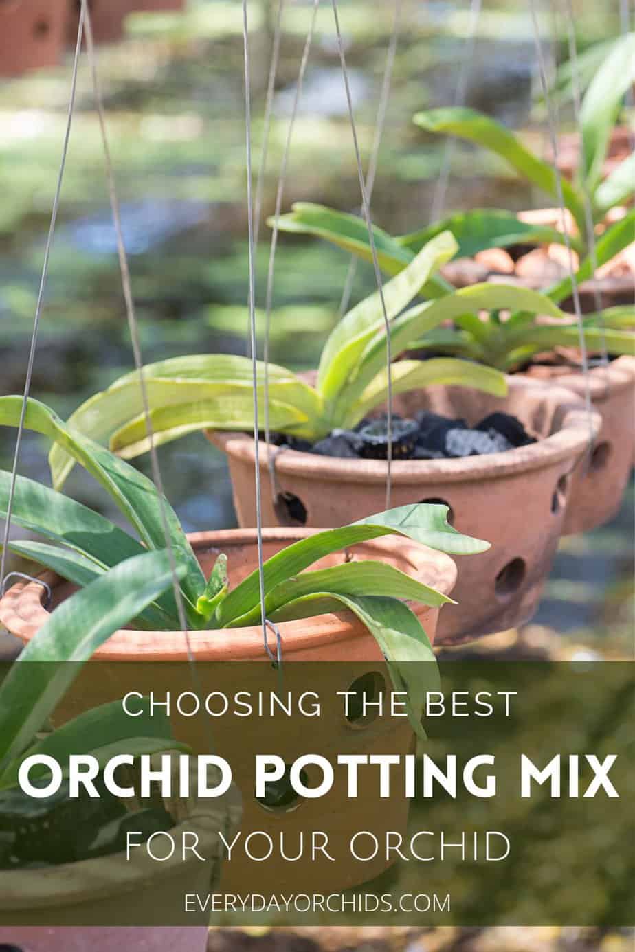 How To Choose The Best Orchid Potting Mix Everyday Orchids